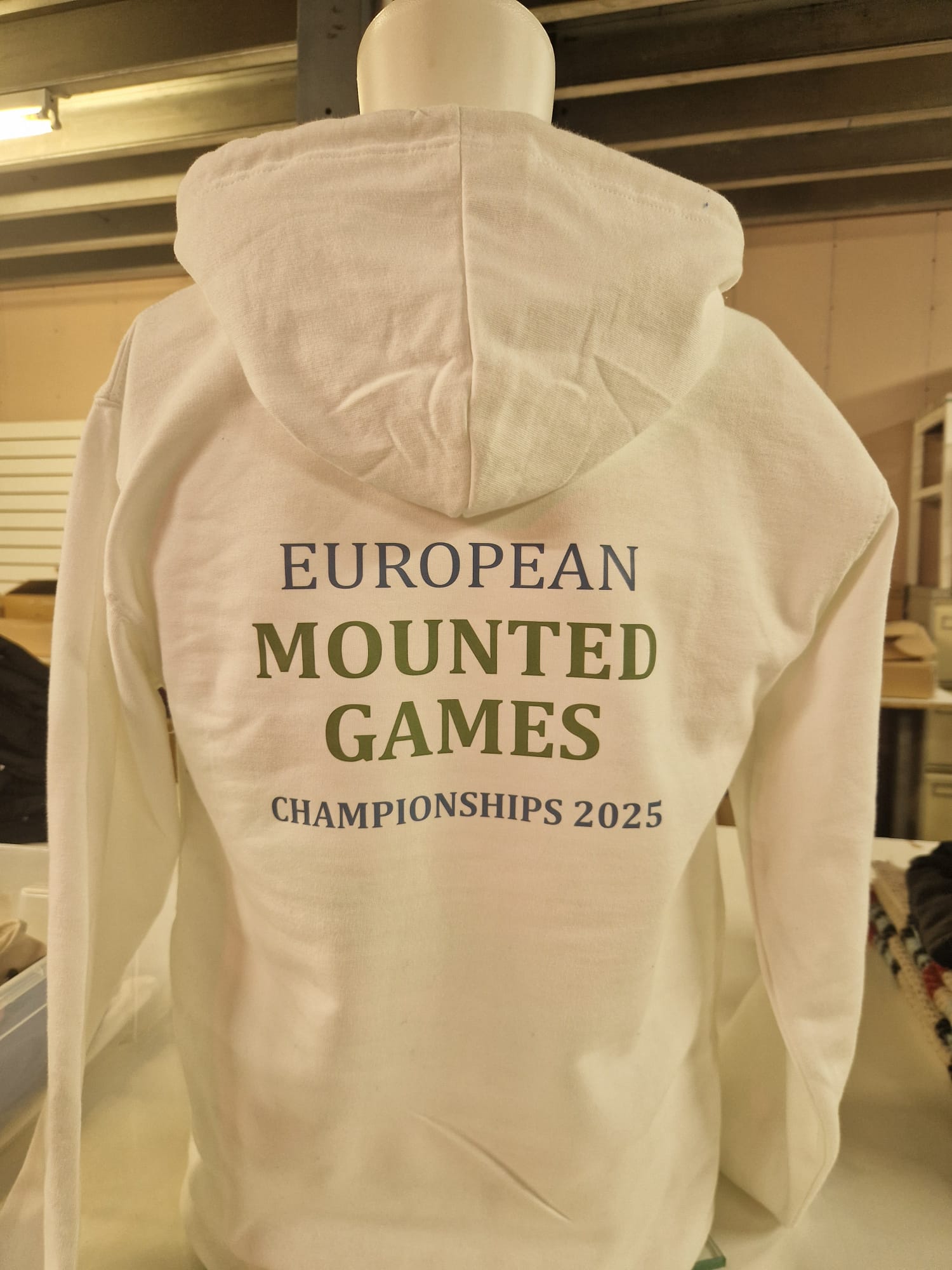 Euro 2025 Hoodie Back