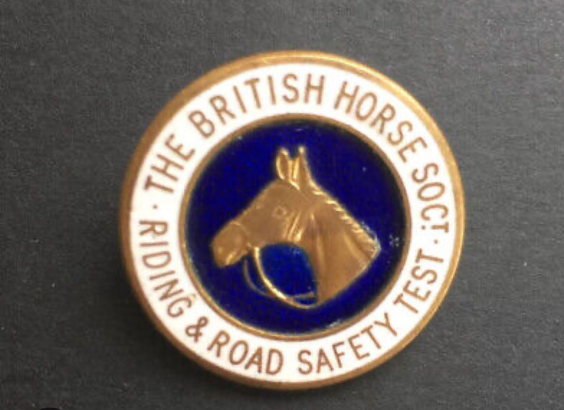 Riding and Road Safety Badge