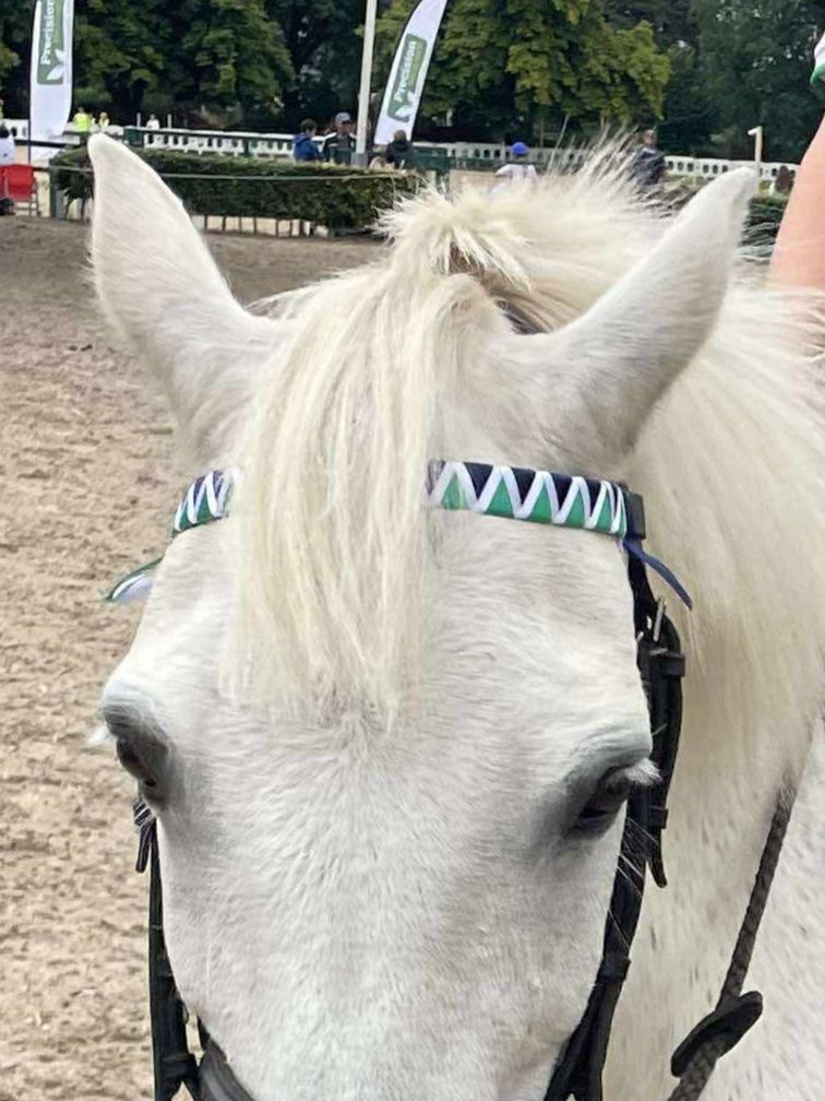 Browband