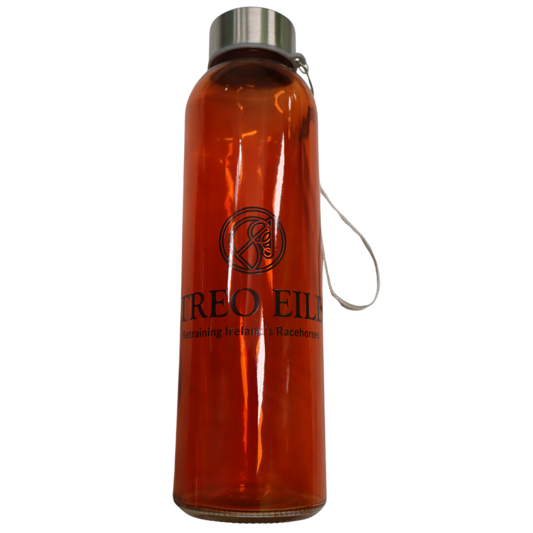 Treo Eile Glass Water Bottle - Orange