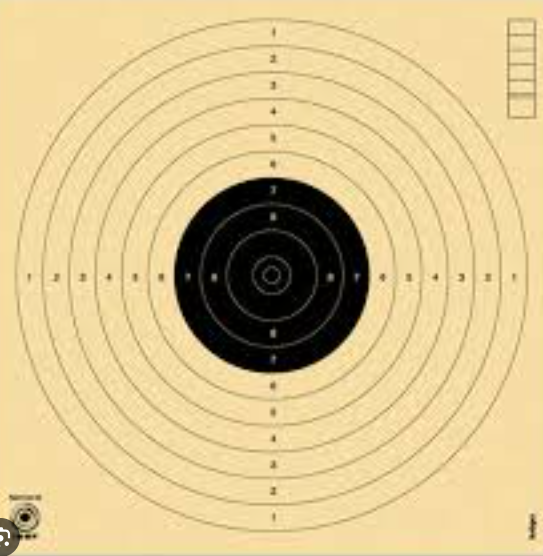 10M Pistol Target